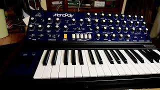 Behringer Monopoly Synthesizer music beat by Alan [upl. by Notnek]