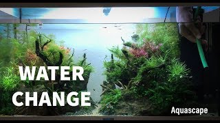 Juwel Rio 125 Aquascape Maintenance [upl. by Naujtna]