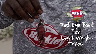 Red eye bait for light weight trace [upl. by Otnicaj]