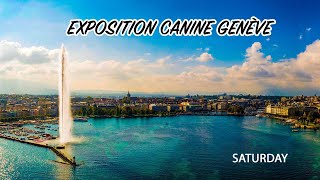 EXPOSITIONS CANINES GENÉVE 2023  SATURDAY [upl. by Kuehn524]