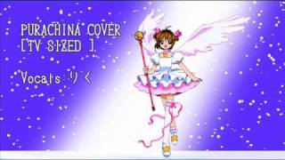 Purachina  Card Captor Sakura Opening  Cover [upl. by Cahn]