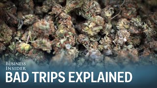 Dr Sanjay Gupta Heres Why People Get Bad Marijuana Trips [upl. by Springer]