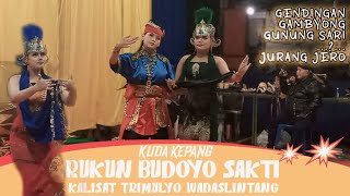 Kumpulan Tari lengger RUKUN BUDOYO SAKTI Kalisat Terbaru full album 2024 [upl. by Astto107]