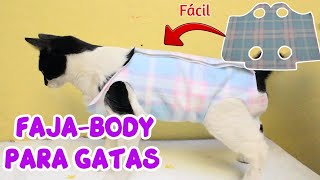 FajaBody para gata esterilizada ¿Cómo hacer una faja post operatoria para gatas [upl. by Edmead]