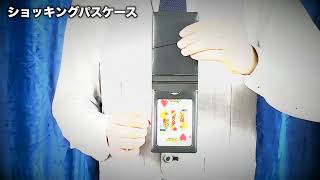 Tenyo 2024 Shocking Pass Case by Tenyo Magic Trick [upl. by Salter]