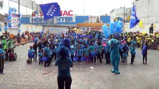 BARRAS EQUIPO AZUL [upl. by Nuaj529]