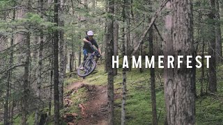 Hammerfest Trails  Vancouver Island Mountain Biking [upl. by Hardman]