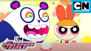 Ours ennuyeux  Nouveau Les Super Nanas  Saison 3  Cartoon Network [upl. by Kruter]