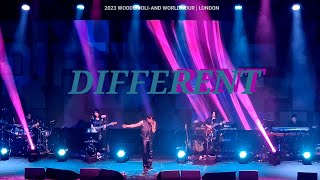 WOODZ  Different LIVE  WOODZ OOLIAND World Tour  London 231126 woodz [upl. by Hilario288]