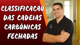 Classificação das Cadeias Carbônicas Fechadas  Brasil Escola [upl. by Aniarrol459]