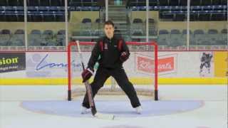 W Goaltending Instructional DVD  FULL SET [upl. by Natehc]