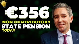 GET READY SENIORS  €356 NON CONTRINUTORY STATE PENSION FOR IRELANDS SENIORS  COMING TODAY [upl. by Cocke]