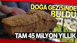 Doğa Gezisinde Bulduğu Taş 45 Milyon Yıllık Fosil Çıktı [upl. by Ayalat]