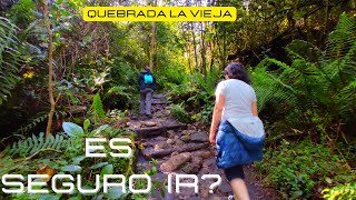 QUEBRADA LA VIEJA en Bogotá Como llegar Cuándo ir 🏃‍♀️🏃🌄 [upl. by Friedberg940]