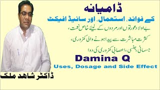 Damiana  Homeopathic medicine Damiana  Erectile Dysfunction  Frigidity  premature ejaculation [upl. by Namharludba7]