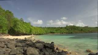 Martinique  Plage de la Pointe Borgnèse [upl. by Sorensen]