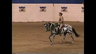 1997 Quarter Horse Congress Freestyle Smoke Ninty Three and Leslie GillespieDarrow [upl. by Ardnnek]