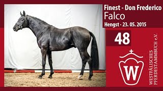 48 Falco Hengst v Finest  Don Frederico Longe [upl. by Cirre]