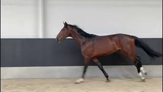 Vettel van de Heffinck jumping at home [upl. by Christoper]