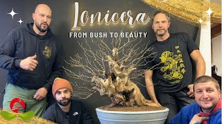 Lonicera from Bush to Beauty [upl. by Merrilee]