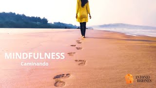 🧘‍♂️Mindfulness microcurso 5 Sesión de meditación guiada mientras caminas [upl. by Ynnob536]