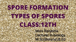 SPORE FORMATION TYPES OF SPORES CLASS11TH12TH [upl. by Yssirc]