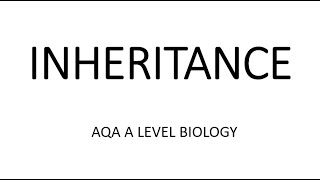 INHERITANCE  AQA A LEVEL BIOLOGY  EXAM QUESTIONS RUN THROUGH [upl. by Daley]