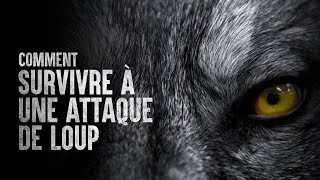 Comment survivre à une attaque de loup [upl. by Erida]