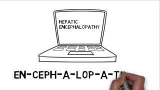 Hepatic Encephalopathy Information for Patients with Liver Disease [upl. by Mharba977]