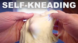 How an autolyse kneads your dough for you [upl. by Ahtel11]