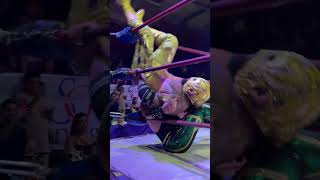 ¡La Joya Más Valiosa de La Lucha Libre 💎🔥 iwrg luchalibre wrestling sportsentertainment [upl. by Llehcnom]