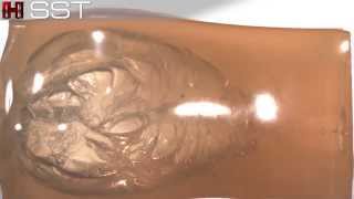 Hornady® SST® Gelatin Test [upl. by Hareenum]