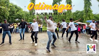 Odimaga  Aavesham Group Dance🔥KLS VDIT HALIYAL [upl. by Ainesy]