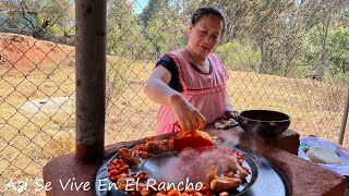 Enchiladas Placeras De Michoacán Así Se Vive En El Rancho [upl. by Everson]