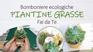 Piante grasse│BOMBONIERE ECOLOGICHE Fai da Te│TUTORIAL│i Quattro Elementi  Naturalis Solutio [upl. by Merrill]