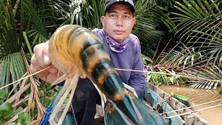 Mendebarkan Tarikan Keras Udang Galah monsterMancing Udang GalahFishing [upl. by Ezarra935]