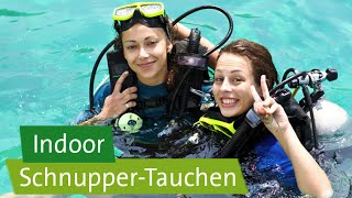 IndoorSchnupperTauchen im quotmonte marequot Rheinbach [upl. by Kcired]