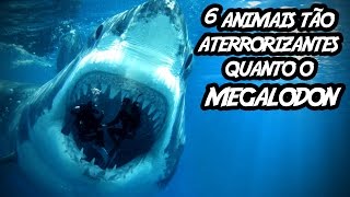 6 animais tão aterrorizantes quanto o Megalodon [upl. by Marigold]