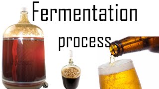 Fermentation process  fermentation biology in yeast [upl. by Penthea]