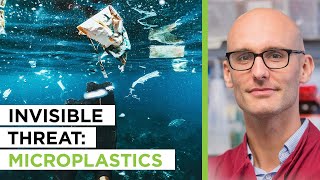 Looking At Microplastics amp Inflammation’s Impact on Brain Health  Jack Auty [upl. by Stockmon]