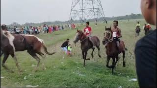 horse racing accident 😳😮😮 [upl. by Meldoh]