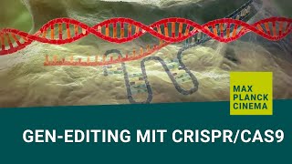 Genediting mit CRISPRCas9 english subtitles [upl. by Astiram]