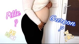 Vlog Grossesse n°2   Garcon ou Fille  🍼 [upl. by Ambrogio]