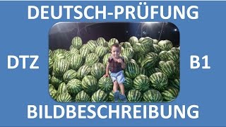 B1Prüfung DTZ  mündliche Prüfung  Bildbeschreibung Junge auf Melonen  Deutsch lernen [upl. by Alveta]