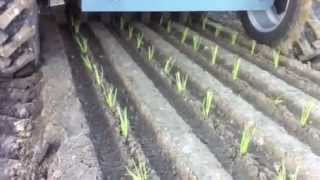 Automatic onion planting machine Also for broccoli cabbage etc [upl. by Aicert]