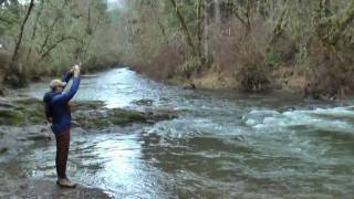 Steelhead fishing at North Fork Alsea Oregon [upl. by Oicnevuj372]