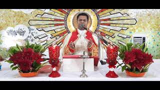 Sunday Holy Mass IAugust 29 Sunday I 530 am I Malayalam I Syro MalabarI Fr Bineesh St Josephs [upl. by Aicenert438]