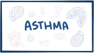 Asthma  causes symptoms diagnosis treatment pathology [upl. by Ravel668]