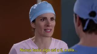 Arizona y Carina  SU HISTORIA PARTE 15  Greys Anatomy subtitulos español [upl. by Danforth]