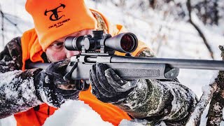 Top 9 Best Bolt Action Rifles 2024 [upl. by Tera561]